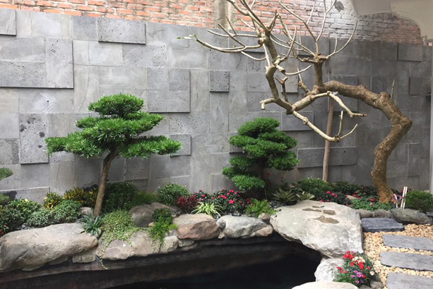 đá ốp tường đẹp