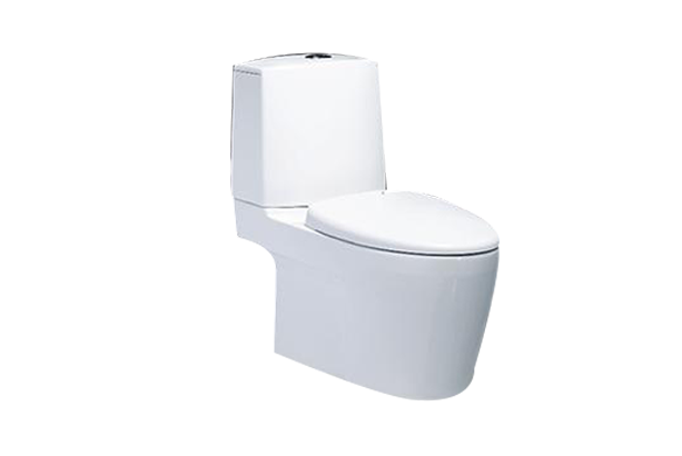 Bồn cầu 2 khối Caesar CD1345