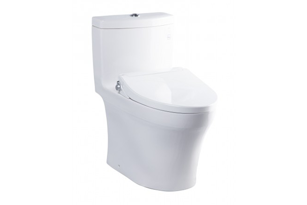  Bồn cầu 1 khối Toto MS889DE2