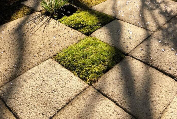 đá granite vàng bình định lát sân vườn