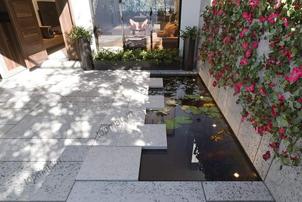 da ong xam lat san vuon