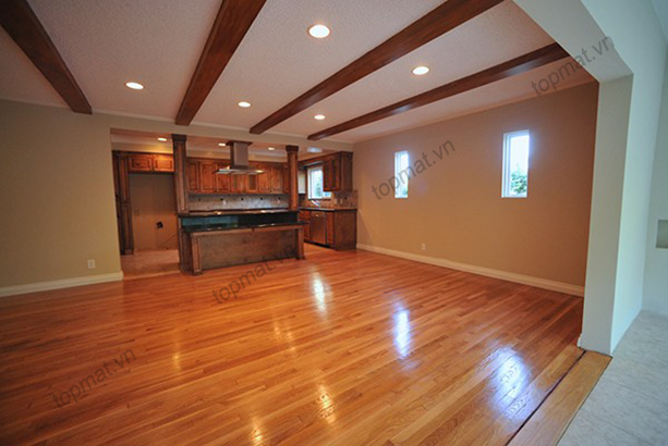 san go cong nghiep janmi