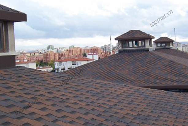 Ngói đá Bitum phủ đá BTM Shingle Dragon 