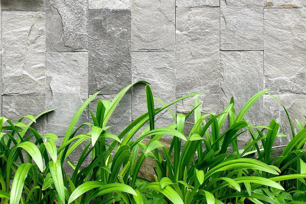 Đá ốp sân vườn